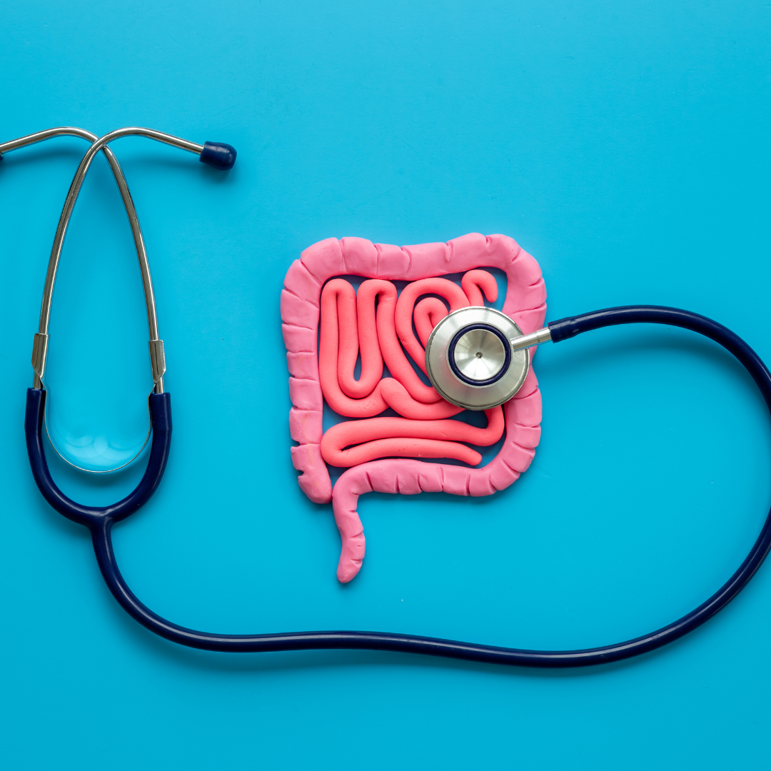 The Symbiosis of Gut Health: Creating a Happy Microbiome